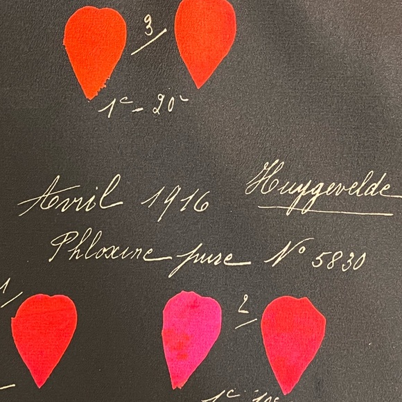 Alexander McQueen heart print blouse - Picture 5 of 5